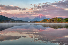 Grand Tetons, Wyoming Landscapes and wildlife