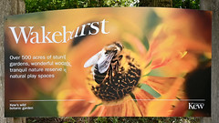 Wakehurst Gardens . ARDINGLY, HAYWARDS HEATH, SUSSEX, ENGLAND UK 2020