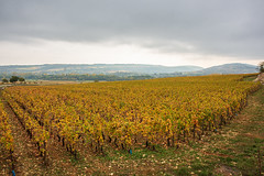 2018 Bourgogne