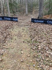Lakeview Too trail open again! 1-15-21