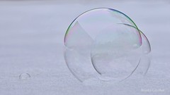 Seifenblasen (soap bubbles)