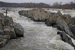 Great Falls, Virginia, December 28, 2012