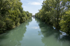 2020.08.16 // (Friuli-Veneto) Sile River