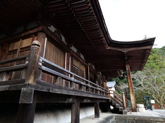 Chokyuji Temple, Winter Walk-1, Ikoma @Nara,Dec2020