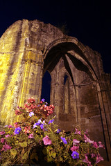 FR11 5908 L’abbaye bénédictine Notre-Dame d'Alet (Xe siècle). Alet-les-Bains, Aude