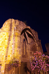 FR11 5904 L’abbaye bénédictine Notre-Dame d'Alet (Xe siècle). Alet-les-Bains, Aude