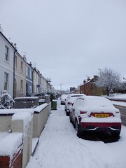 Snowy Cheltenham, 24th January 2021