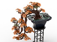 Prunus LEGOfolia cv 'DreamDynamic'