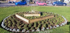 Flowerbeds near Huntingdon bus station 2021