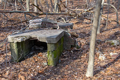 Chimney/Oven Remnants (?), Staten Island Greenbelt