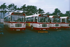 Citybus (Northern Ireland)