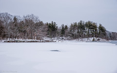 Spot Pond Frozen Wonderland