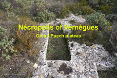 Nécropolis of Vernègues