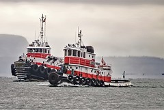 Tugs of Thunder Bay Harbour