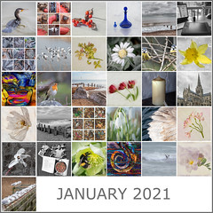 Monthly Mosaics 365/2021 Expanding Horizons