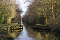 Montgomery Canal 3rd february