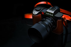 [Leica L] Sigma 65mm f/2 DG DN Contemporary