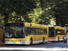 TT Trieste buses
