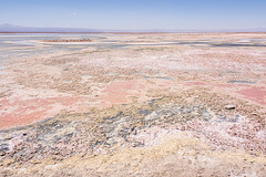 2019 Salar de Atacama