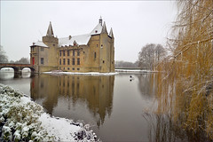 Wintertime Castle of Laarne and surroundings 001