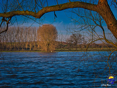 Hochwasser am Rhein -2021- Flood on the Rhine