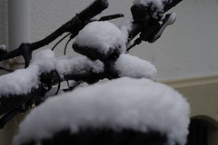 2021 Feb - Basel Winter, Schnee
