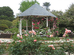 The St Kilda Botanical Gardens
