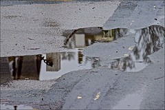 Beverley puddles reflections