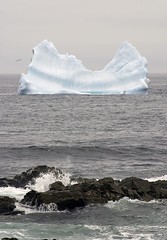 Newfoundland 2008