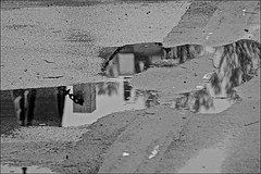 Beverley Puddles reflections in Monochrome