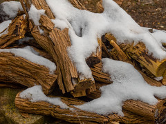 Snow on logs