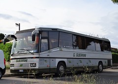 Gruppo ARZILLI Grosseto (I) buses