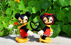 Toys Field Minnie & Mickey  Mouse