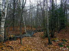 Parc de la Rivière-des-Roches, Québec, Québec