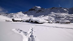 Valmalenco - Alpe Prabello - Alpe Campagneda