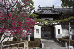 (Kyoto) Hōjū-ji 法住寺