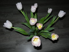 Pink Tulips Bouquet, Feb.19'21