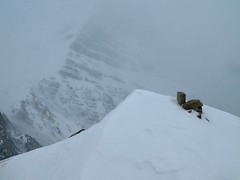 2021 February 21 - Sarrail Ridge Summit Snowshoe