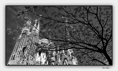 Sagrada Família en Noir & Blanc