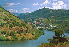 Portugal 2003 , vallée du Douro  ;Argentique
