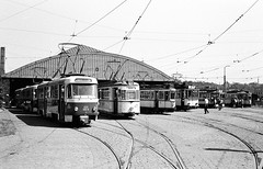 VEB (K) Verkehrsbetriebe der Stadt Dresden (DVB/1450 mm + 1000 mm); ab 01.06.1990:  Dresdner Verkehrsbetriebe AG (DVB/1450 mm) (D)