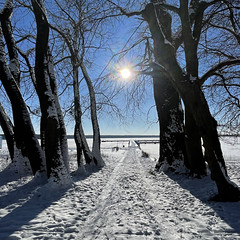 Winter lake walk