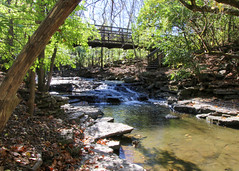 Indian Run Falls and Cemetery