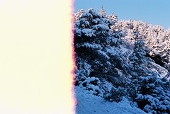 Snow on  Kodak Ektar