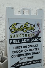Seaside Seabird Sanctuary Feb 2020