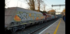 'Graffitied Wagons' (2021)