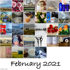February 365 ~ 2021