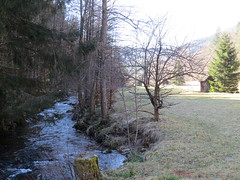 Eyach (Schwarzwald)