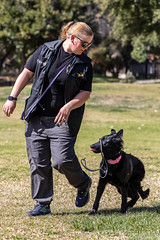 Dog Training 2021-02-28