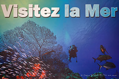 Aquarium de Guadeloupe